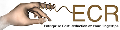 Enterprise Cost Reduction